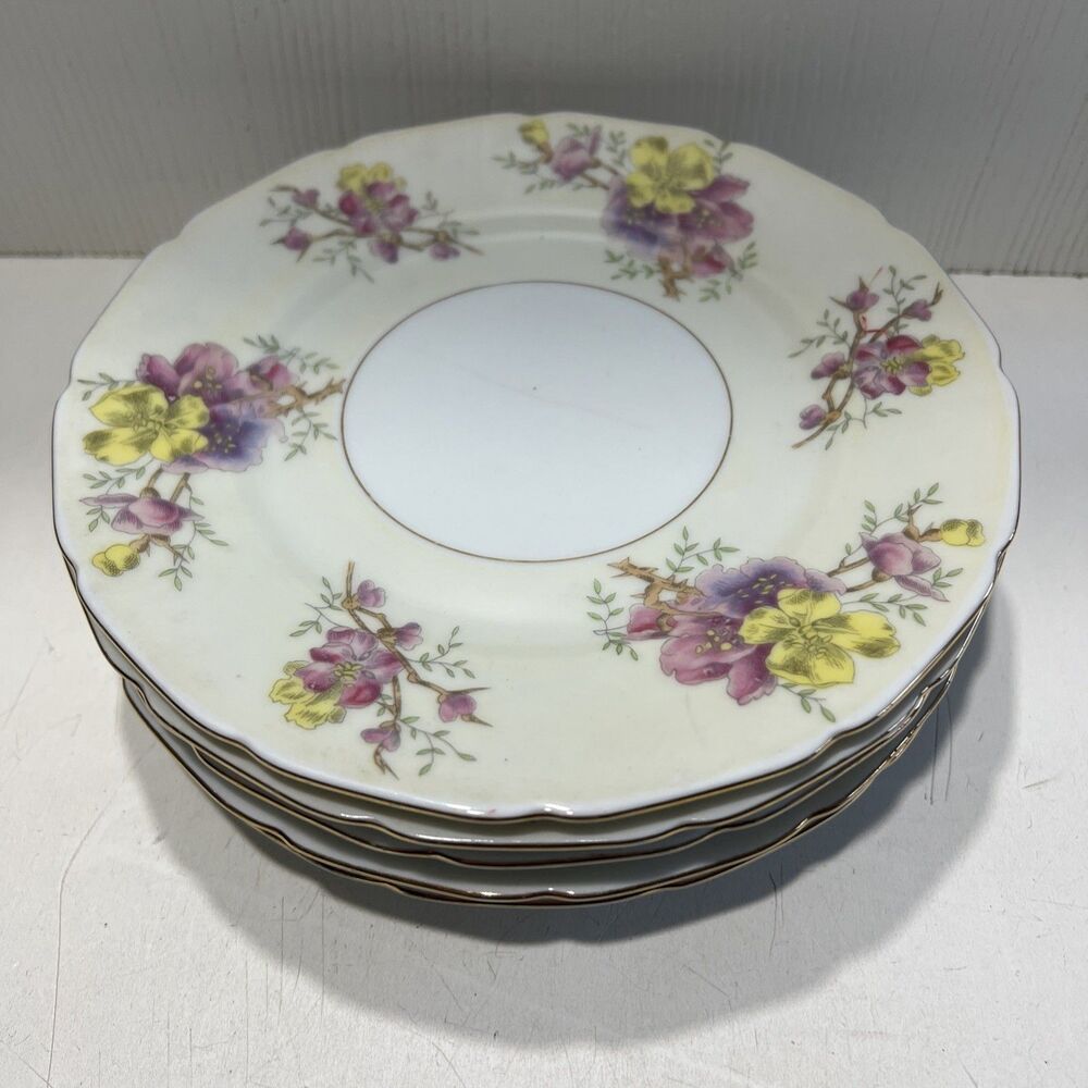 Black Knight ︱Apple Blossom︱ 7 3/4︱ Salad Plate︱Set of  5︱Vintage